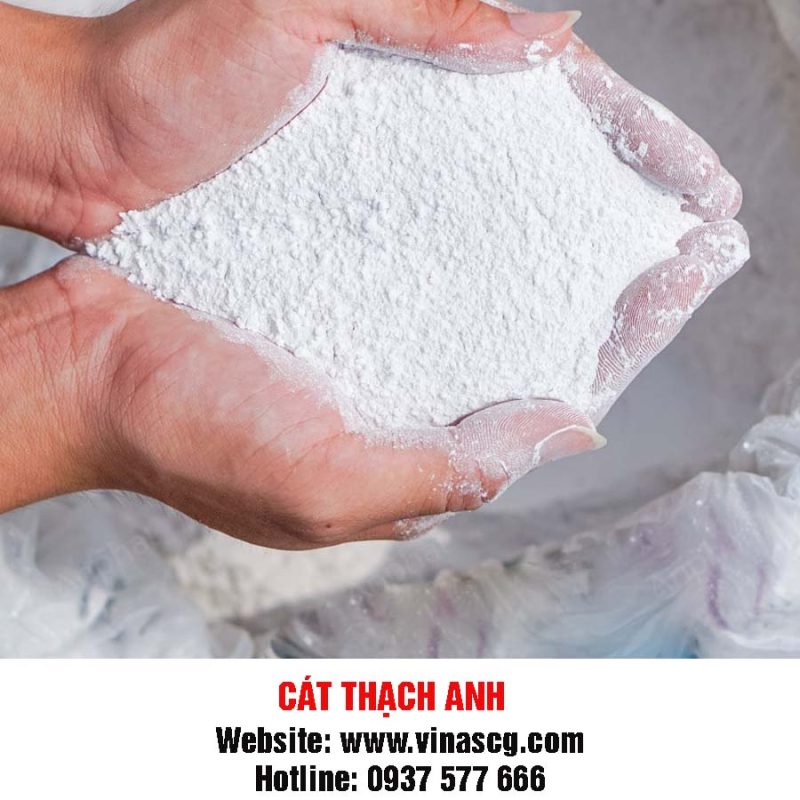 vinascg.com